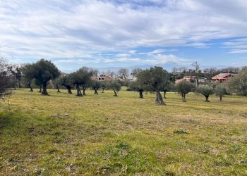 Building land Contrada Colle Vento, Montesilvano - photo 6