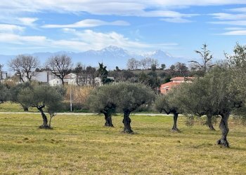 Building land Contrada Colle Vento, Montesilvano - photo 7