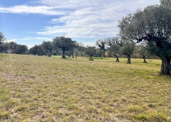 Building land Contrada Colle Vento, Montesilvano - photo 8