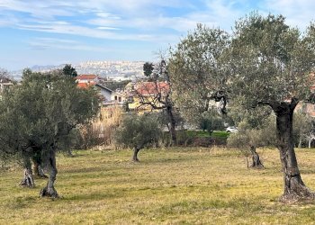 Building land Contrada Colle Vento, Montesilvano - photo 9