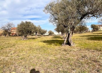 Building land Contrada Colle Vento, Montesilvano - photo 12