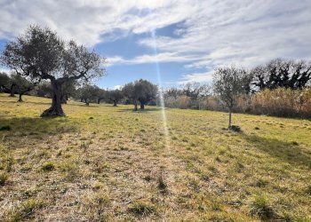 Building land Contrada Colle Vento, Montesilvano - photo 13