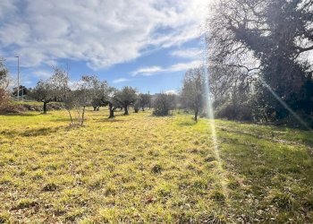Building land Contrada Colle Vento, Montesilvano - photo 15