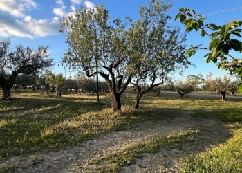 Villa Unifamiliare Contrada Nora, 2, Pianella - foto 16