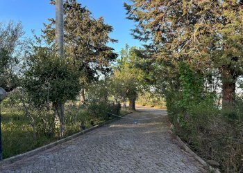 Villa Unifamiliare Contrada Nora, 2, Pianella - foto 61