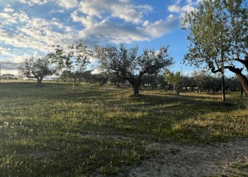 Villa Unifamiliare Contrada Nora, 2, Pianella - foto 63