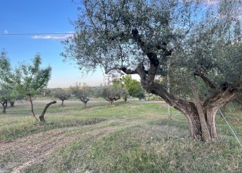 Villa Unifamiliare Contrada Nora, 2, Pianella - foto 88