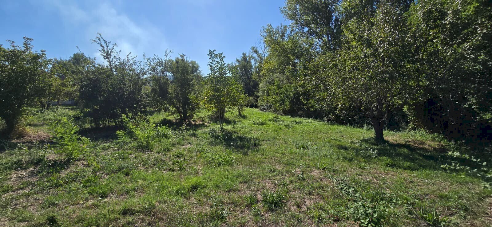 Building land Via Giacomo Matteotti, Alanno - photo 1