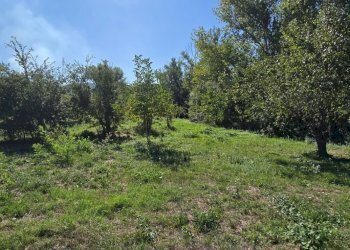 Building land Via Giacomo Matteotti, Alanno - photo 1