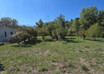 Building land Via Giacomo Matteotti, Alanno - photo 8