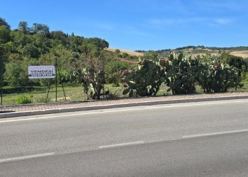 Building land Via Giacomo Matteotti, Alanno - photo 9