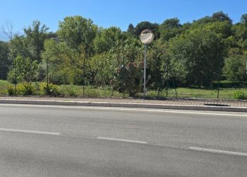 Building land Via Giacomo Matteotti, Alanno - photo 11