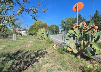 Building land Via Giacomo Matteotti, Alanno - photo 15