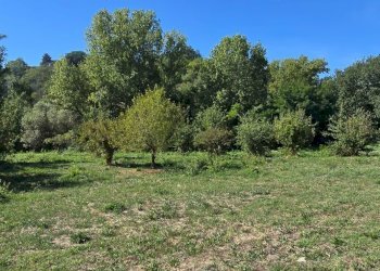 Building land Via Giacomo Matteotti, Alanno - photo 20