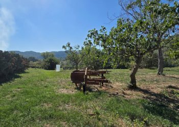 Building land Via Giacomo Matteotti, Alanno - photo 21