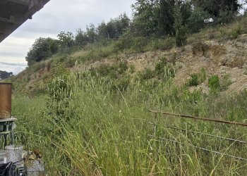 Shop Via Italia, Mosciano Sant'Angelo - photo 15