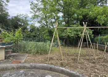 Villa Unifamiliare Frazione Villa Rossi, Teramo - foto 28