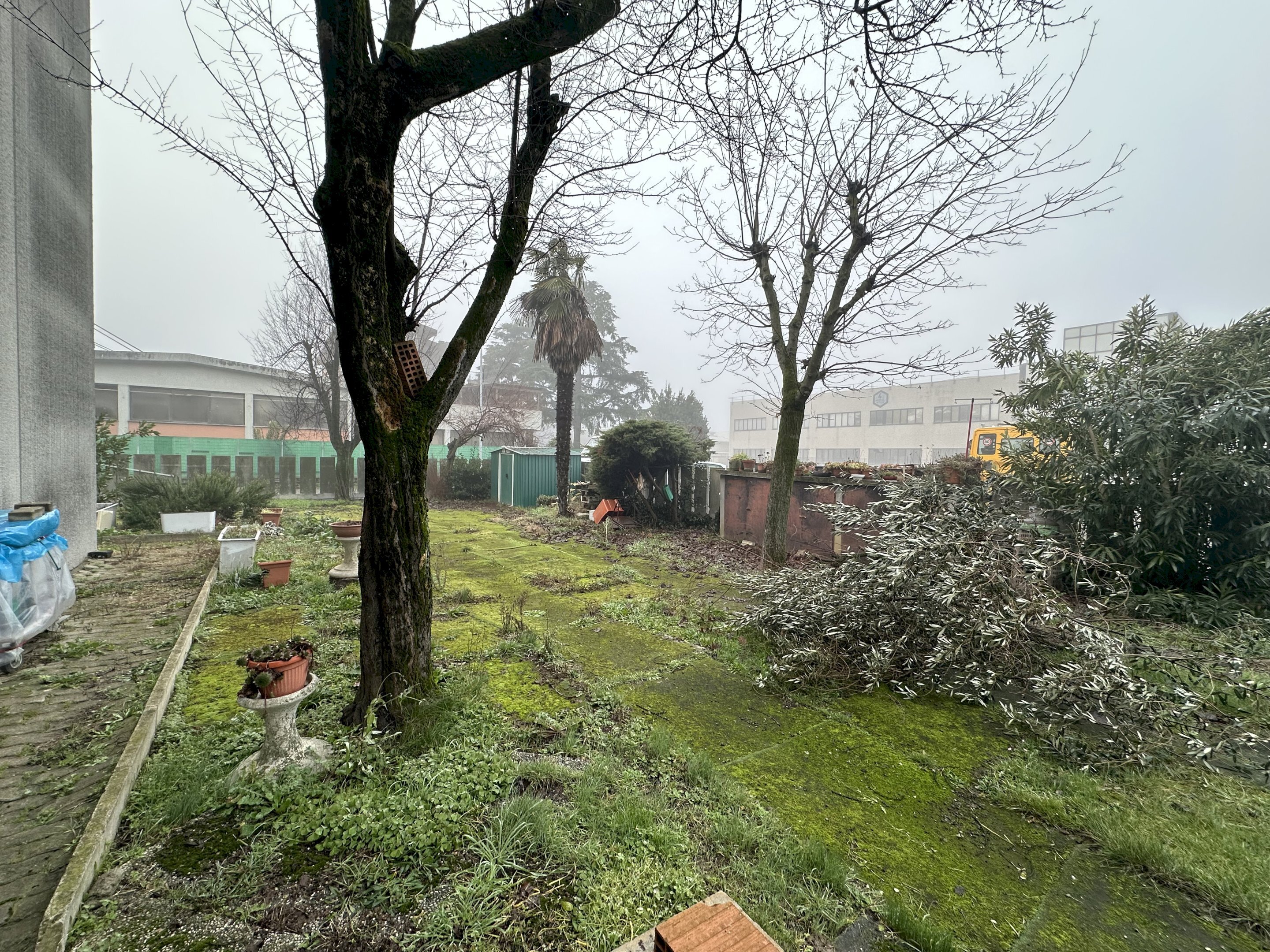 Giardino - Capannone via Errico Malatesta, 19, Imola - foto 3