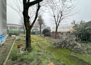 Giardino - Capannone via Errico Malatesta, 19, Imola - foto 3