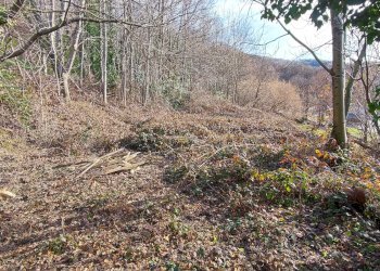 Rustico Via dei Lombardi, Sanfront - foto 38