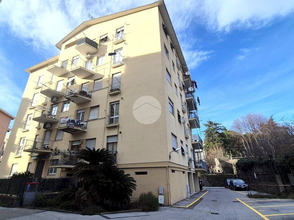 Four-room apartment Via ramellina, Genova (neighborhood Prà) - photo 2