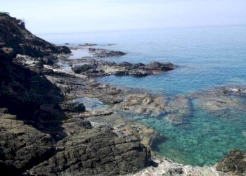 Garage - Parcheggio Rosignano Marittimo - foto 2