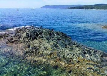 Garage - Parcheggio Rosignano Marittimo - foto 4