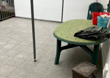 Bilocale Cuneo - foto 9