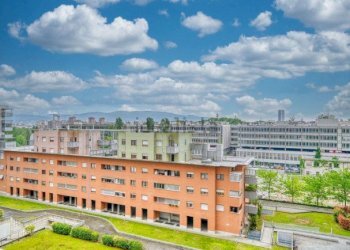 Commercial Premises Torino (neighborhood Aurora) - photo 4