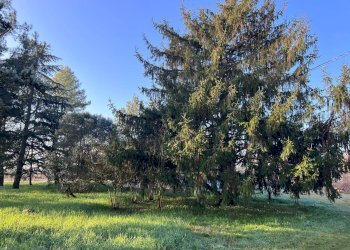 Foto 8 - Villa Via Ravenna
 
416, Ferrara - foto 8