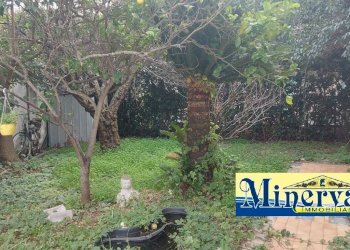 Foto 9 - Bilocale Via Aldo Moro
 
48, Nettuno - foto 9