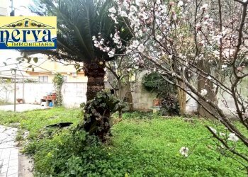 Foto 41 - Bilocale Via Aldo Moro
 
48, Nettuno - foto 41