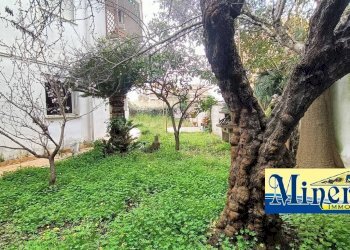 Foto 43 - Bilocale Via Aldo Moro
 
48, Nettuno - foto 43