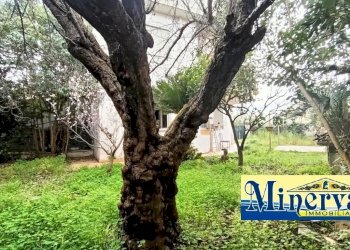 Foto 44 - Bilocale Via Aldo Moro
 
48, Nettuno - foto 44