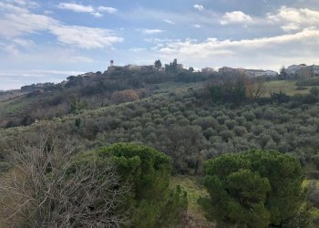 Foto 21 - Trilocale Tortoreto - foto 21