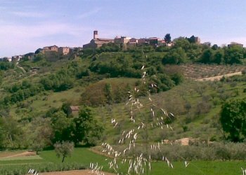 Foto 23 - Trilocale Tortoreto - foto 23