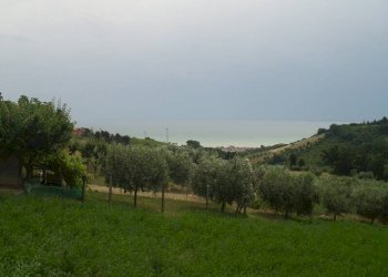 Foto 24 - Trilocale Tortoreto - foto 24