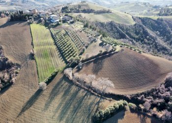 Foto 1 - Agricultural land contrada San Savino
 
snc, Ripatransone - photo 1
