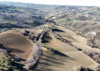 Foto 5 - Agricultural land contrada San Savino
 
snc, Ripatransone - photo 5