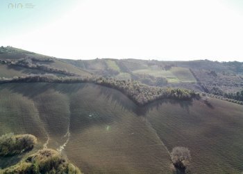 Foto 12 - Agricultural land contrada San Savino
 
snc, Ripatransone - photo 12