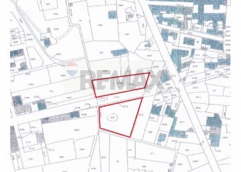 Pianta 2D - Terreno edificabile Via Oberdan, Triggiano - foto 1