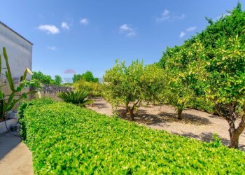 Giardino - Casa indipendente Via Capitano Ramirez
 
45, Vernole - foto 24