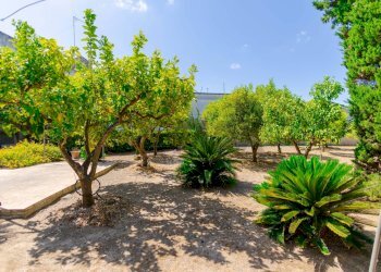 Giardino - Casa indipendente Via Capitano Ramirez
 
45, Vernole - foto 33