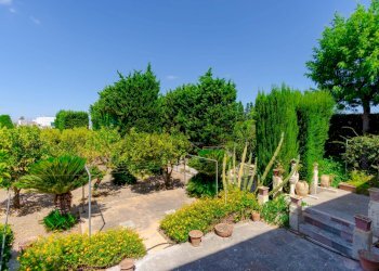 Giardino - Casa indipendente Via Capitano Ramirez
 
45, Vernole - foto 39