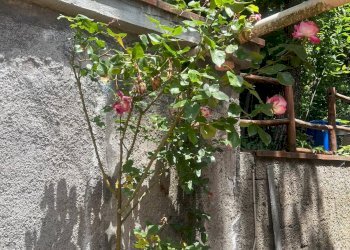 Giardino - Villa Str Milia, Biancavilla - foto 14