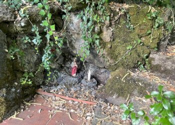 Giardino - Villa Str Milia, Biancavilla - foto 19