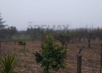 Vista delle montagne - Villa contrada camemi, Piazza Armerina - foto 9