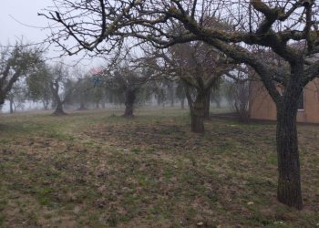 Giardino - Villa contrada camemi, Piazza Armerina - foto 23