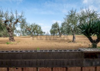 Non correlato - Villa contrada camemi, Piazza Armerina - foto 16