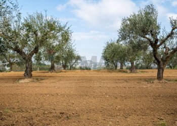 Giardino - Villa contrada camemi, Piazza Armerina - foto 29